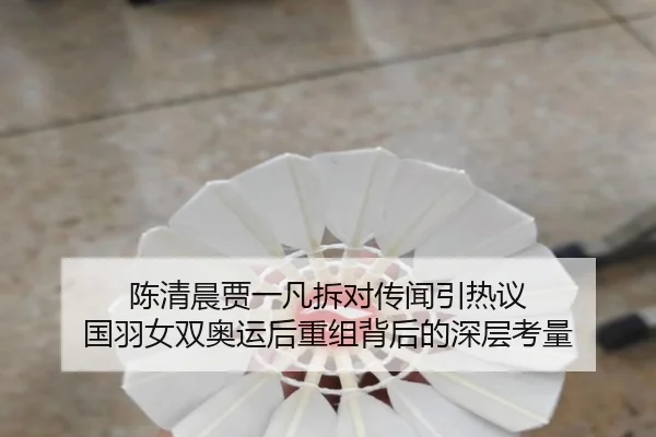 chen-qing-chen-jia-yi-fan-chai-dui-chuan-wen-yin-re-yi-guo-yu-nv-shuang-ao-yun-hou-chong-zu-bei-hou-de-shen-ceng-kao-2-233.jpg